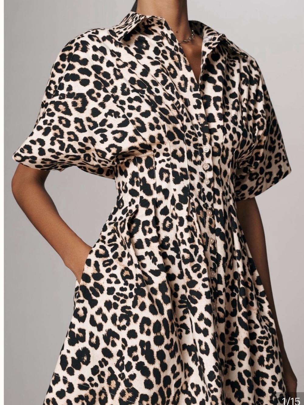 Anthropologie Tobie Dress: Leopard-Print Mini Dress in Tan and Black